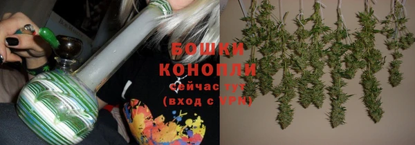 винт Нея