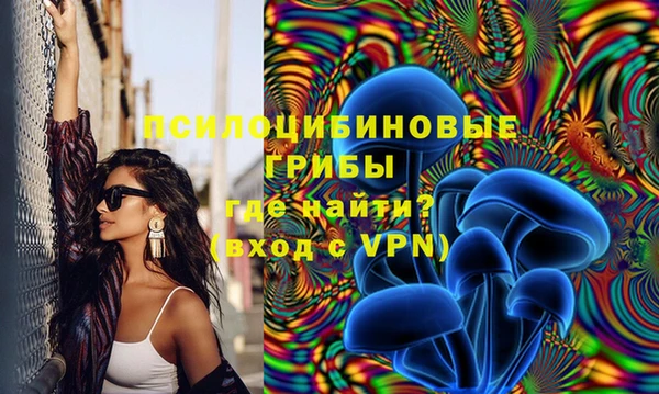 хмурый Абинск