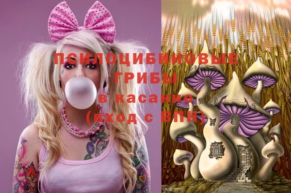 MDMA Армянск