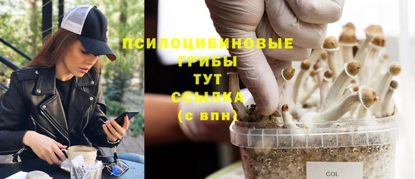 ГАЛЛЮЦИНОГЕННЫЕ ГРИБЫ Нефтекумск