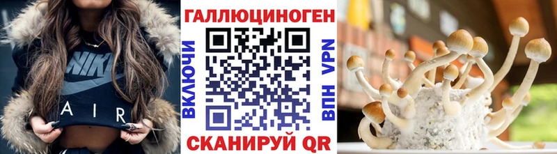 Галлюциногенные грибы Psilocybine cubensis  МЕГА вход  Вологда 