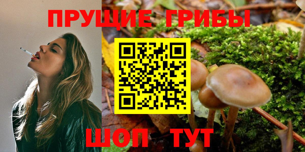Псилоцибиновые грибы ЛСД Вологда
