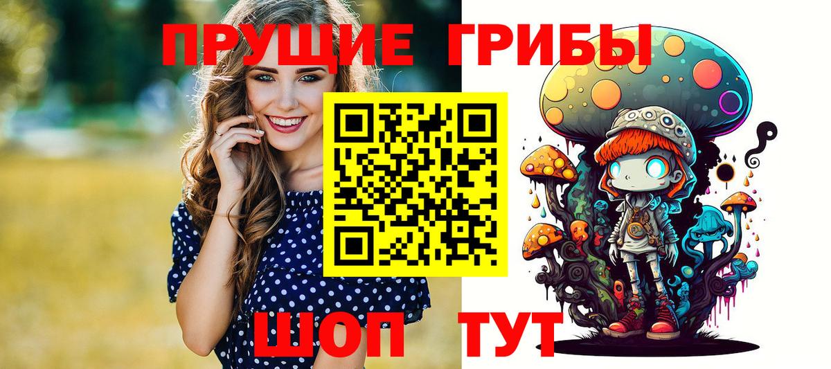 Галлюциногенные грибы прущие грибы  Вход с VPN  Вологда 