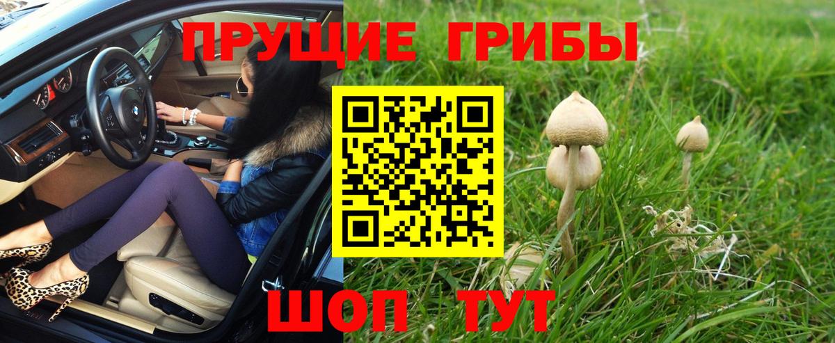 Бошки Шишки  COCAIN  Купить закладку  Меф   Гашиш  Вологда  Вход с VPN  ЭКСТАЗИ 