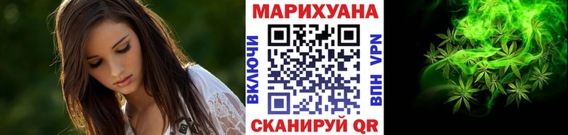 Шишки марихуана OG Kush  где можно купить   Вологда 